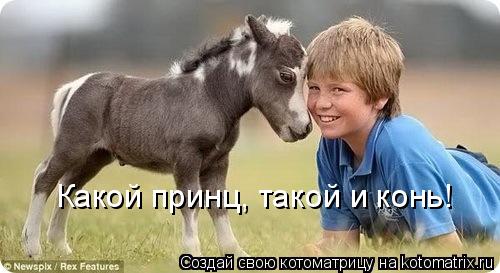 Котоматрица: Какой принц, такой и конь!
