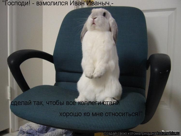 Котоматрица: "Господи! - взмолился Иван Иваныч,- сделай так, чтобы все коллеги стали  хорошо ко мне относиться!"