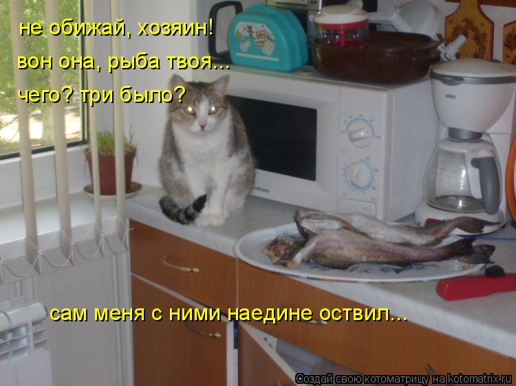Котоматрица: не обижай, хозяин! вон она, рыба твоя... чего? три было? сам меня с ними наедине оствил...