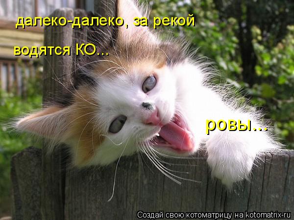 Котоматрица: далеко-далеко, за рекой водятся КО... ровы...