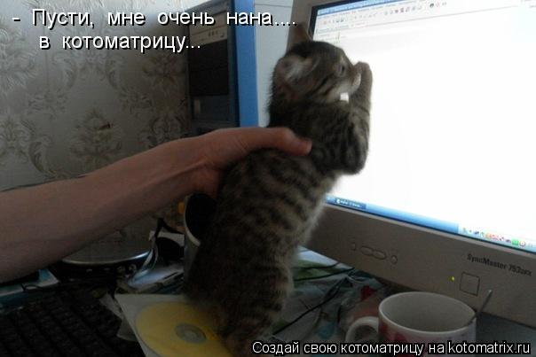 Котоматрица: -  Пусти,  мне  очень  нана....  в  котоматрицу...