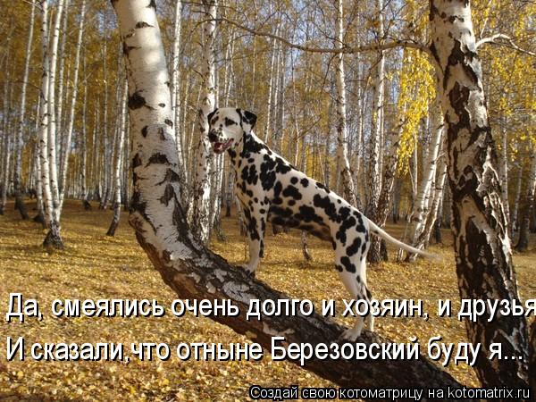Да, смеялись очень долго и хозяин, и друзья И сказали,что отныне Березовский буду я...... Котоматрица: Да, смеялись очень долго и хозяин, и друзья И сказали,что отныне Березовский буду я...