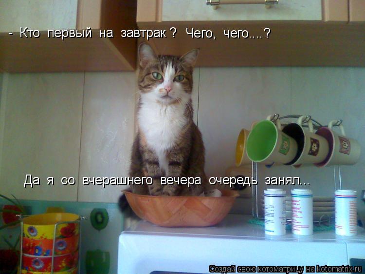 Котоматрица: -  Кто  первый  на  завтрак ?  Чего,  чего....?    Да  я  со  вчерашнего  вечера  очередь  занял...