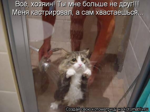Котоматрица: Всё, хозяин! Ты мне больше не друг!!! Меня кастрировал, а сам хвастаешься...