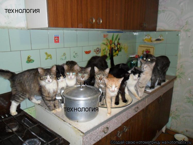 Котоматрица: технология технология