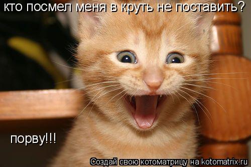Котоматрица: кто посмел меня в круть не поставить? порву!!!