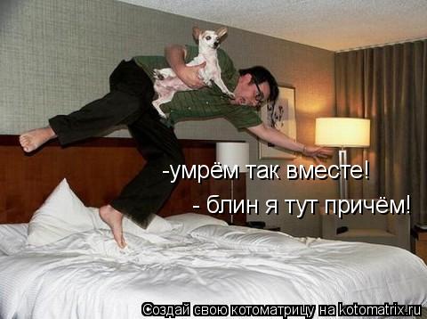 Котоматрица: - блин я тут причём! -умрём так вместе!