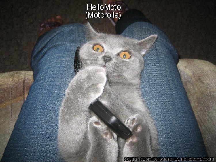 Котоматрица: HelloMoto (Motorolla)