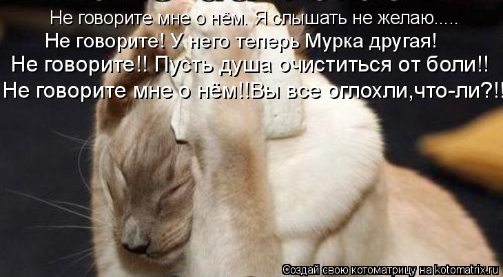 Не говорите мне о нём. Я слышать не желаю..... Не говорите! У него теперь Мурка другая! Не говорите!!... Котоматрица: Не говорите мне о нём. Я слышать не желаю..... Не говорите! У него теперь Мурка другая! Не говорите!! Пусть душа очиститься от боли!! Не говорите