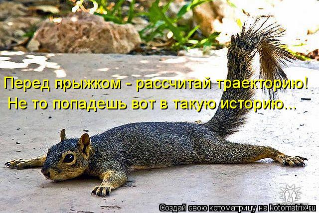 Перед прыжком - рассчитай траекторию! Не то попадешь вот в такую историю...... Котоматрица: Перед прыжком - рассчитай траекторию! Не то попадешь вот в такую историю...