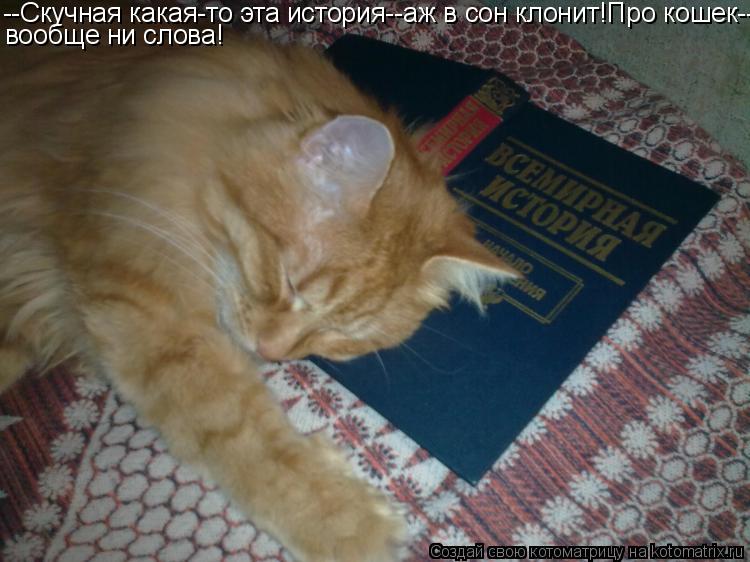 --Скучная какая-то эта история--аж в сон клонит!Про кошек-- вообще ни слова!... Котоматрица: --Скучная какая-то эта история--аж в сон клонит!Про кошек-- вообще ни слова!