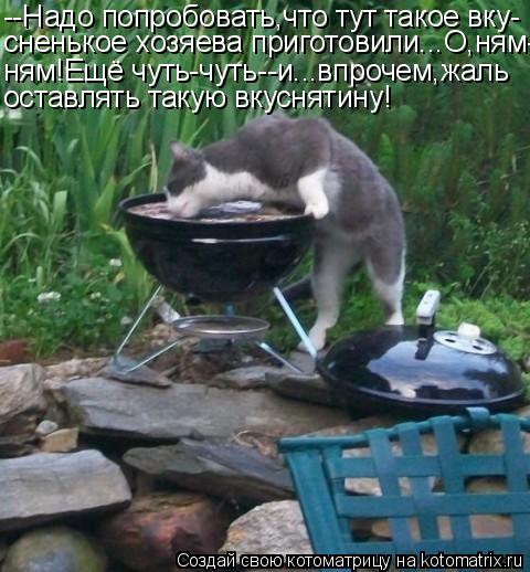 --Надо попробовать,что тут такое вку- сненькое хозяева приготовили...О,ням- ням!Ещё чуть-чуть--и...вп... Котоматрица: --Надо попробовать,что тут такое вку- сненькое хозяева приготовили...О,ням- ням!Ещё чуть-чуть--и...впрочем,жаль оставлять такую вкуснятину!