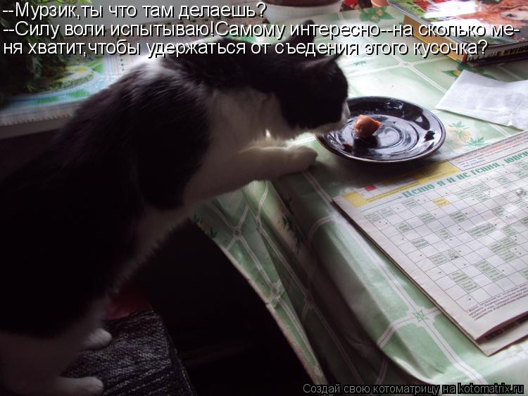 --Мурзик,ты что там делаешь? --Силу воли испытываю!Самому интересно--на сколько ме- ня хватит,чтобы у... Котоматрица: --Мурзик,ты что там делаешь? --Силу воли испытываю!Самому интересно--на сколько ме- ня хватит,чтобы удержаться от съедения этого кусочка?