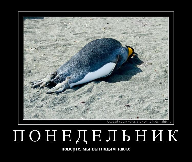 Котоматрица: ПОНЕДЕЛЬНИК поверте, мы выглядим также