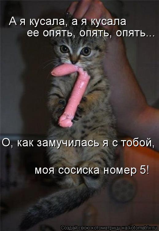А я кусала, а я кусала ее опять, опять, опять... О, как замучилась я с тобой, моя сосиска номер 5!... Котоматрица: А я кусала, а я кусала ее опять, опять, опять... О, как замучилась я с тобой, моя сосиска номер 5!
