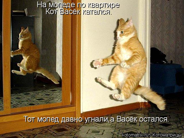 http://kotomatrix.ru/images/lolz/2011/09/09/988480.jpg