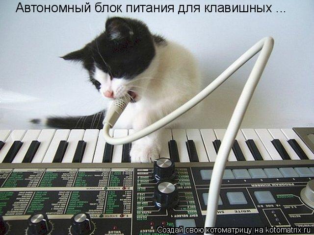 Котоматрица: Автономный блок питания для клавишных ...