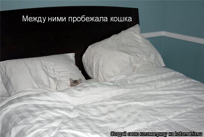 Котоматрица: Между ними пробежала кошка