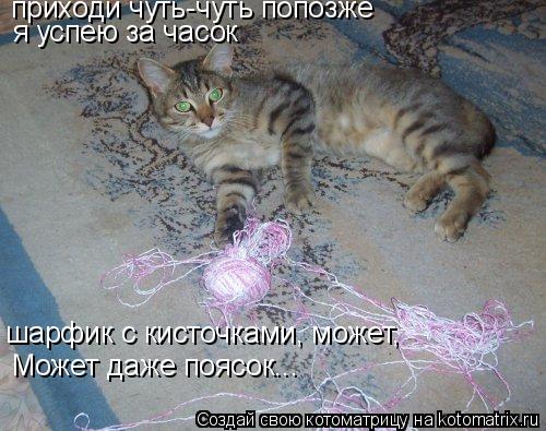 Котоматрица: приходи чуть-чуть попозже я успею за часок шарфик с кисточками, может, Может даже поясок...