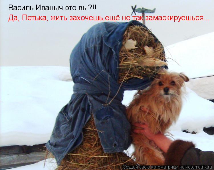 Котоматрица: Василь Иваныч это вы?!! Да, Петька, жить захочешь,ещё не так замаскируешься...