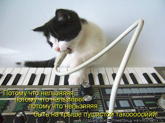 Котоматрица: Потому что нельзяяяя потому что нельзяяяя потому что нельзяяяя  быть на крыше пушистой такоооооййй!