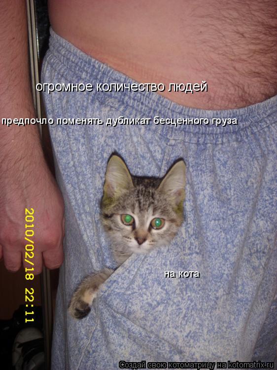 Котоматрица: огромное количество людей предпочло поменять дубликат бесценного груза на кота