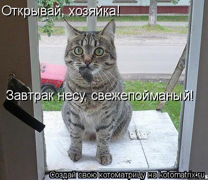 Открывай, хозяйка! Завтрак несу, свежепойманый!... Котоматрица: Открывай, хозяйка! Завтрак несу, свежепойманый!