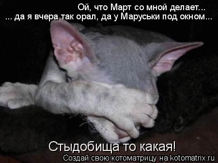 Котоматрица: Ой, что Март со мной делает…..   ... да я вчера так орал, да у Маруськи под окном….. Стыдобища то какая!