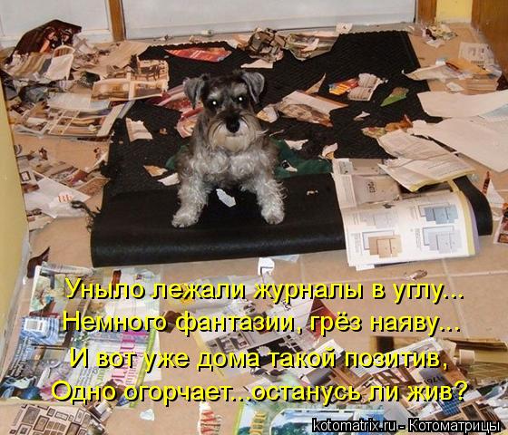 Котоматрица: Уныло лежали журналы в углу... Немного фантазии, грёз наяву... И вот уже дома такой позитив, Одно огорчает...останусь ли жив?