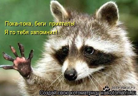 Котоматрица: Пока-пока, беги  приятель! Я то тебя запомнил!