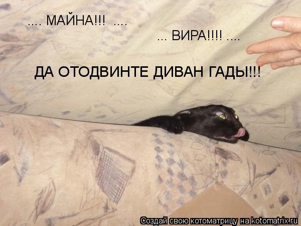 Котоматрица: .... МАЙНА!!!  .... ... ВИРА!!!! .... ДА ОТОДВИНТЕ ДИВАН ГАДЫ!!!