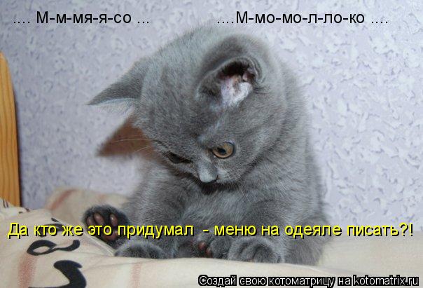 Котоматрица: Да кто же это придумал  - меню на одеяле писать?! .... М-м-мя-я-со ...              ....М-мо-мо-л-ло-ко ....