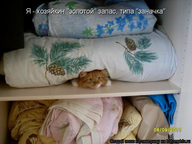 Котоматрица: Я - хозяйкин "золотой" запас, типа "заначка"