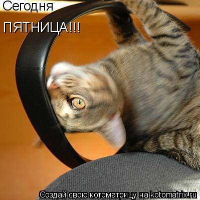 Котоматрица: ПЯТНИЦА!!! Сегодня