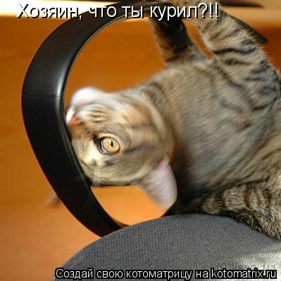 Котоматрица: Хозяин, что ты курил?!!