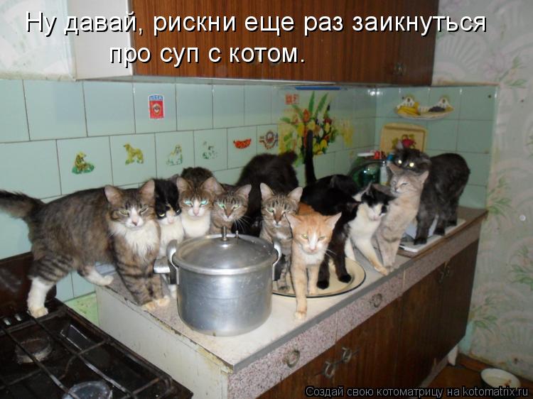 Ну давай, рискни еще раз заикнуться про суп с котом.... Котоматрица: Ну давай, рискни еще раз заикнуться про суп с котом.