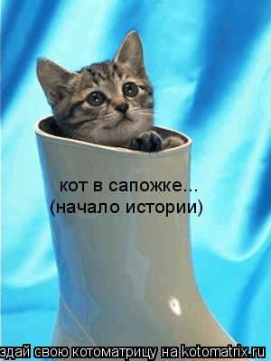Котоматрица: кот в сапожке... (начало истории)