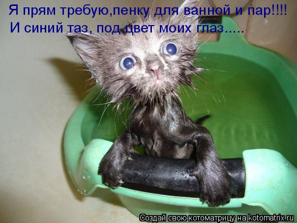 Я прям требую,пенку для ванной и пар!!!! И синий таз, под цвет моих глаз........ Котоматрица: Я прям требую,пенку для ванной и пар!!!! И синий таз, под цвет моих глаз.....