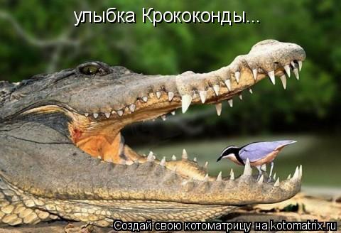 Котоматрица: улыбка Крококонды...