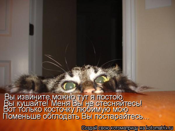 Котоматрица: Вы извините,можно тут я постою. Вы кушайте! Меня Вы не стесняйтесь! Вот только косточку любимую мою Поменьше обглодать Вы постарайтесь...
