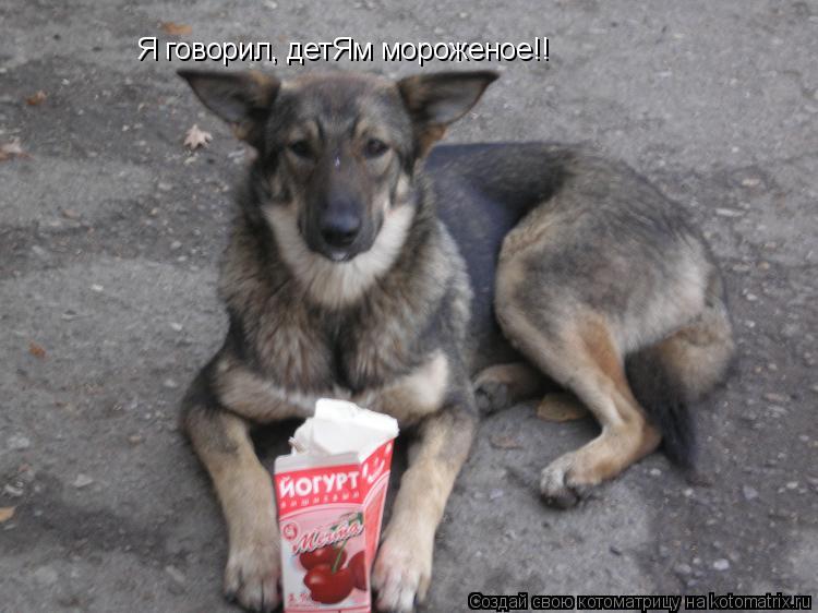 Котоматрица: Я говорил, детЯм мороженое!!