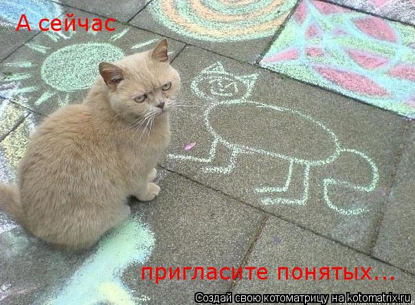 Котоматрица: пригласите понятых... А сейчас