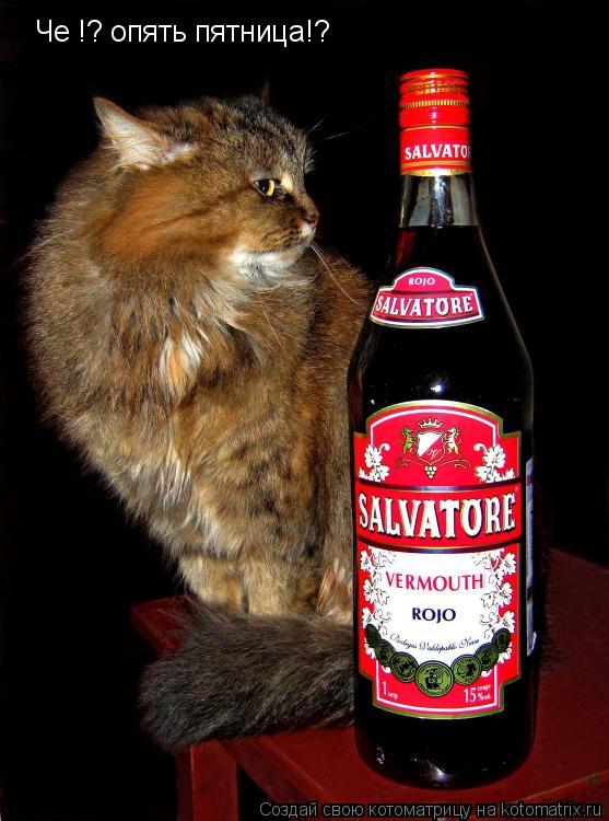Котоматрица: Че !? опять пятница!?