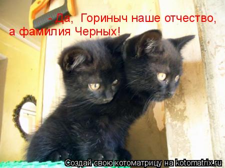 Котоматрица: - Да,  Гориныч наше отчество,     а фамилия Черных!