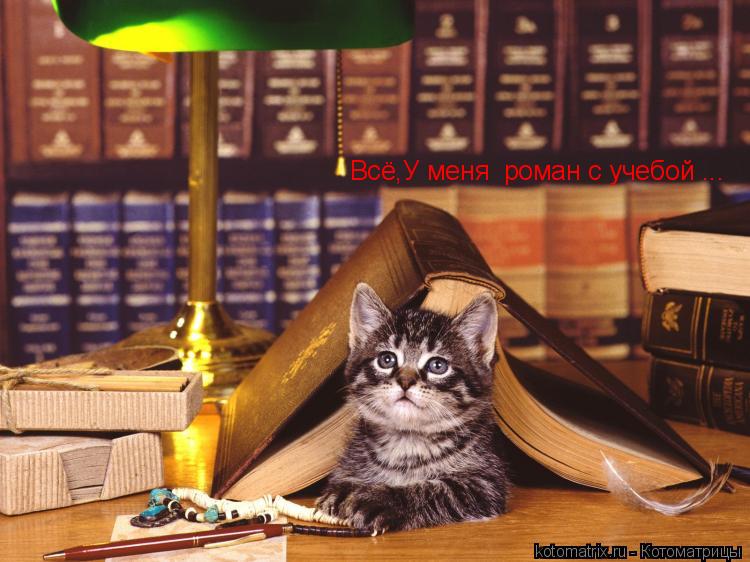 Котоматрица: Всё,У меня  роман с учебой ...