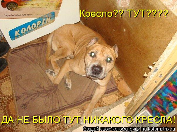 Котоматрица: Кресло?? ТУТ????  ДА НЕ БЫЛО ТУТ НИКАКОГО КРЕСЛА!