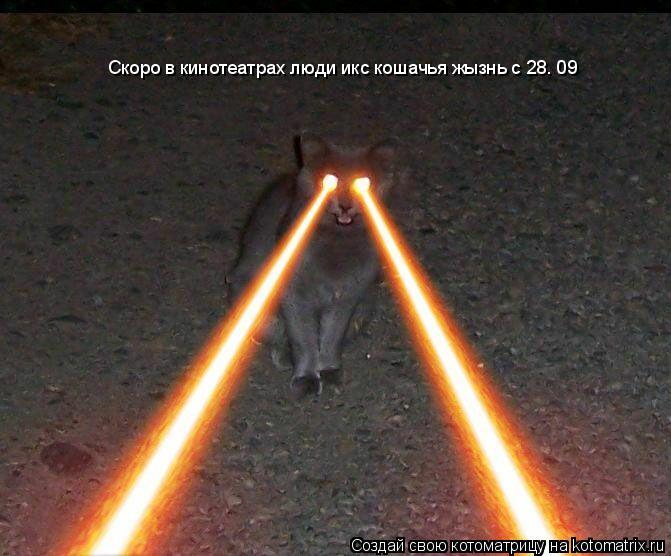 Котоматрица: Скоро в кинотеатрах люди икс кошачья жызнь с 28. 09
