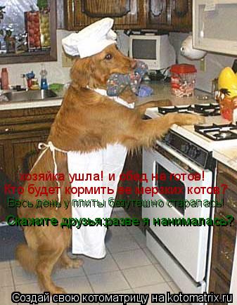 Котоматрица: хозяйка ушла! и обед не готов! хозяйка ушла! и обед не готов! Кто будет кормить ее мерзких котов? Весь день у плиты безутешно старалась! Скажи