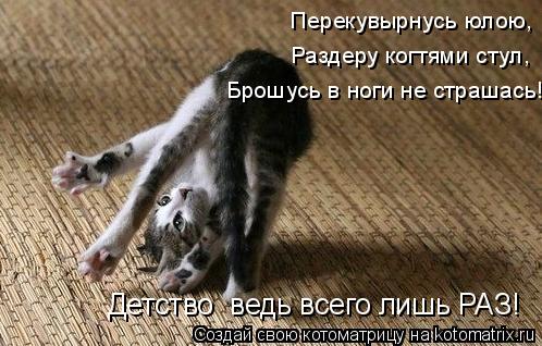 Котоматрица: Перекувырнусь юлою, Раздеру когтями стул,  Брошусь в ноги не страшась! Детство  ведь всего лишь РАЗ!