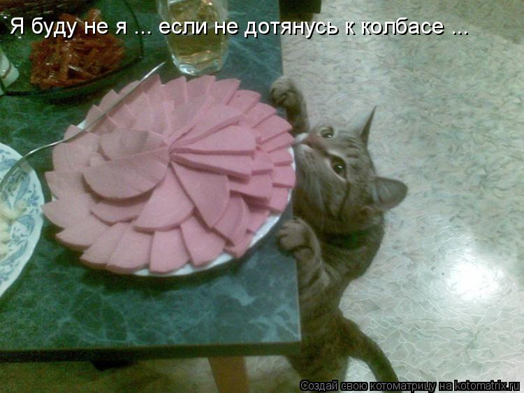Котоматрица: Я буду не я ... если не дотянусь к колбасе ...